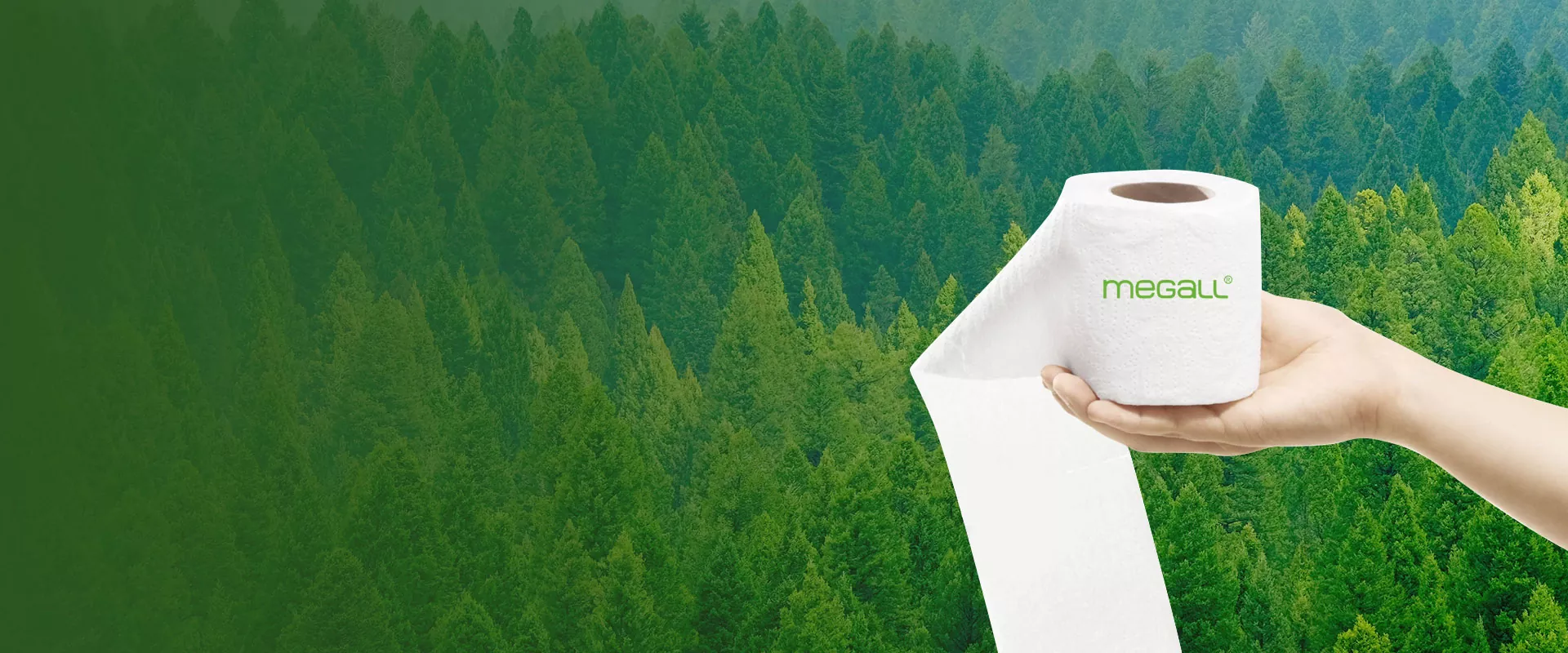 Nhà cung cấp giấy vệ sinh và nhà máy